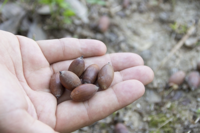 テキストテキストテキスト