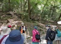 【レポート】4/23　アースデイ奈良　春日山自然学校を開催しました！