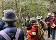 【レポート】第39回 春日山原始林観察会　森林生態系の循環